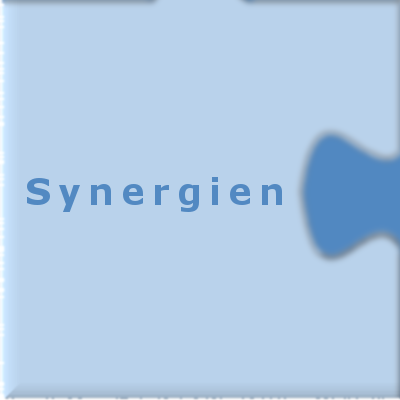 Synergien Puzzleteil